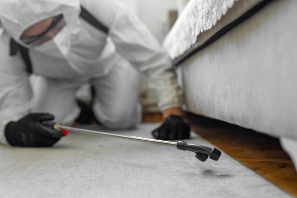 Professional Cockroach Control technician working in Revere, MA
