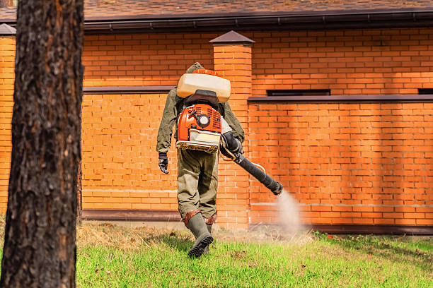Trusted Emergency Pest Control service in Revere, MA - Nex Pest Control